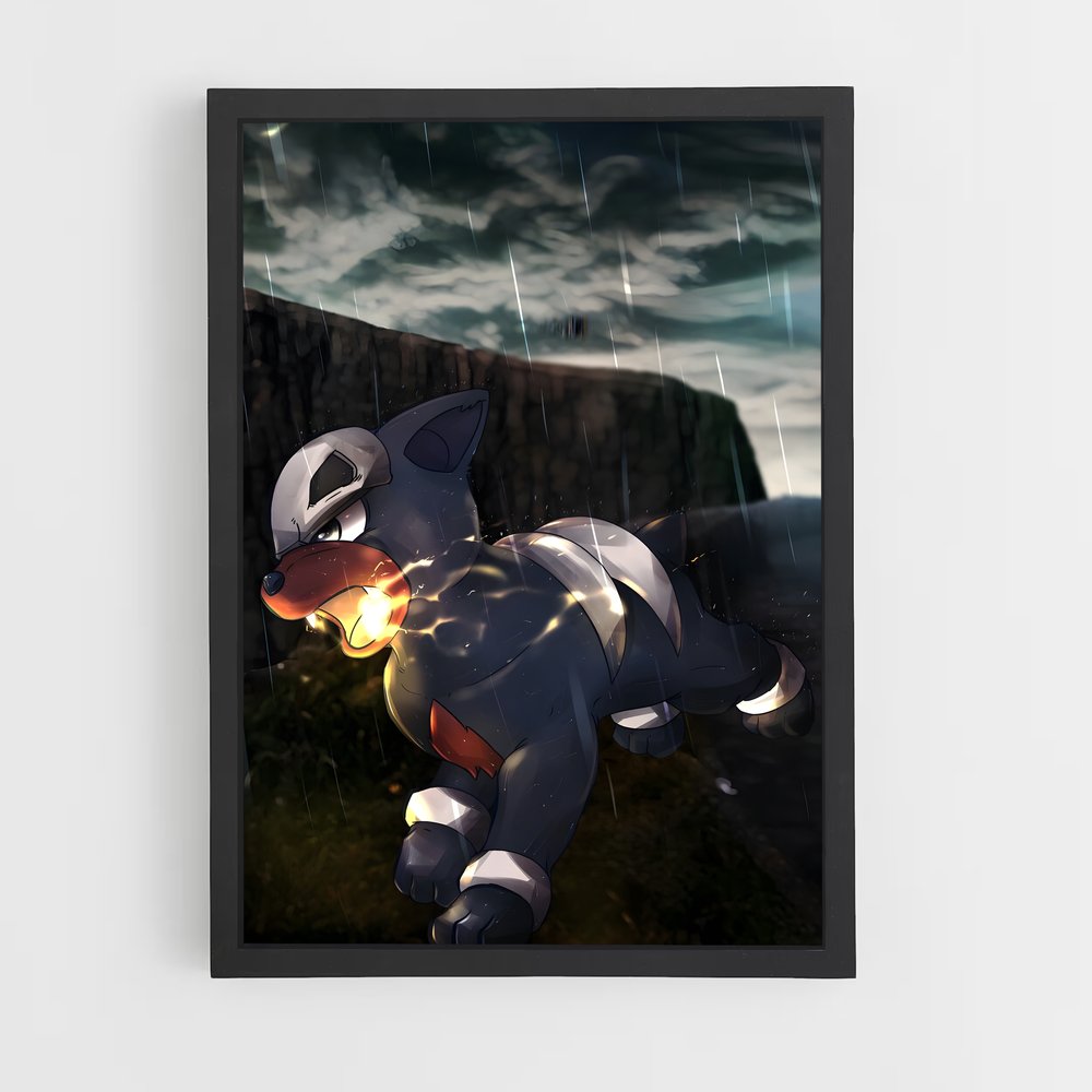 ap-houndour-1 cadre Noir