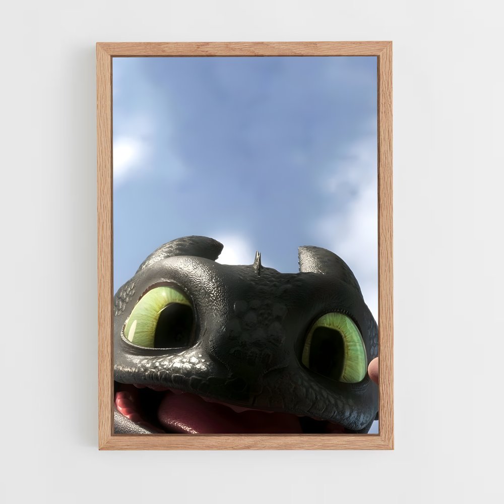 ap-how to train your dragon-1 cadre Bois clair