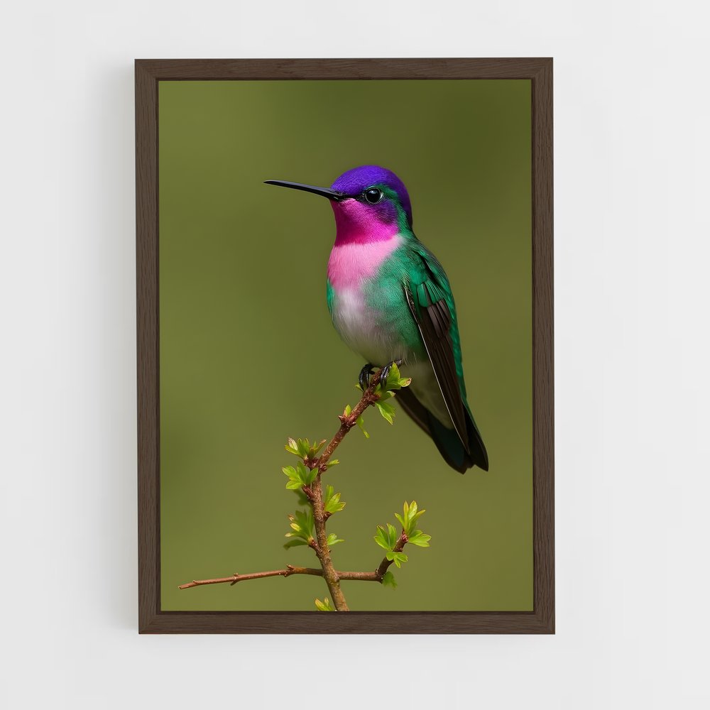 ap-hummingbird-3 cadre Bois foncé