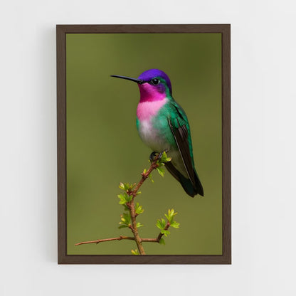 ap-hummingbird-3 cadre Bois foncé