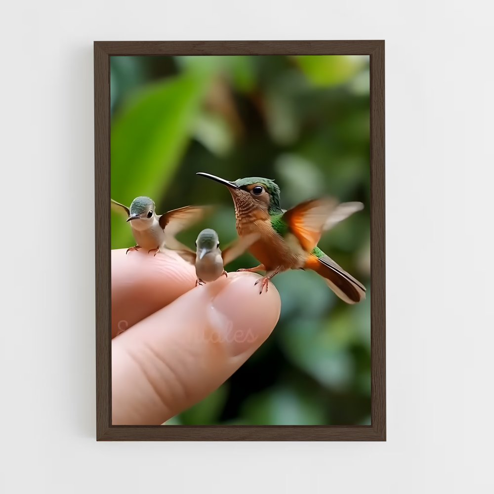 ap-hummingbird-4 cadre Bois foncé