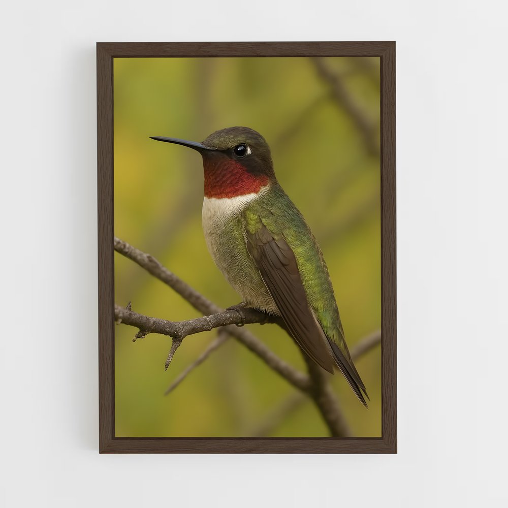 ap-hummingbird-5 cadre Bois foncé