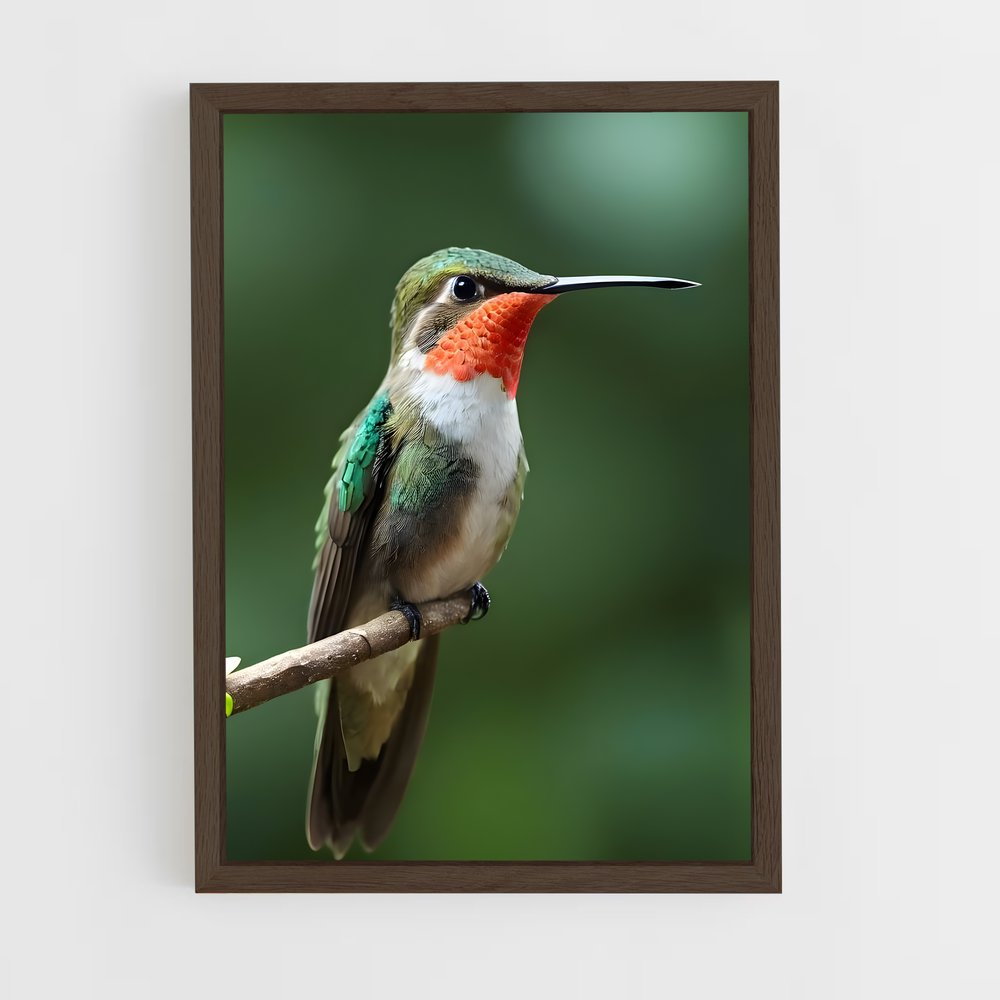 ap-hummingbird-9 cadre Bois foncé