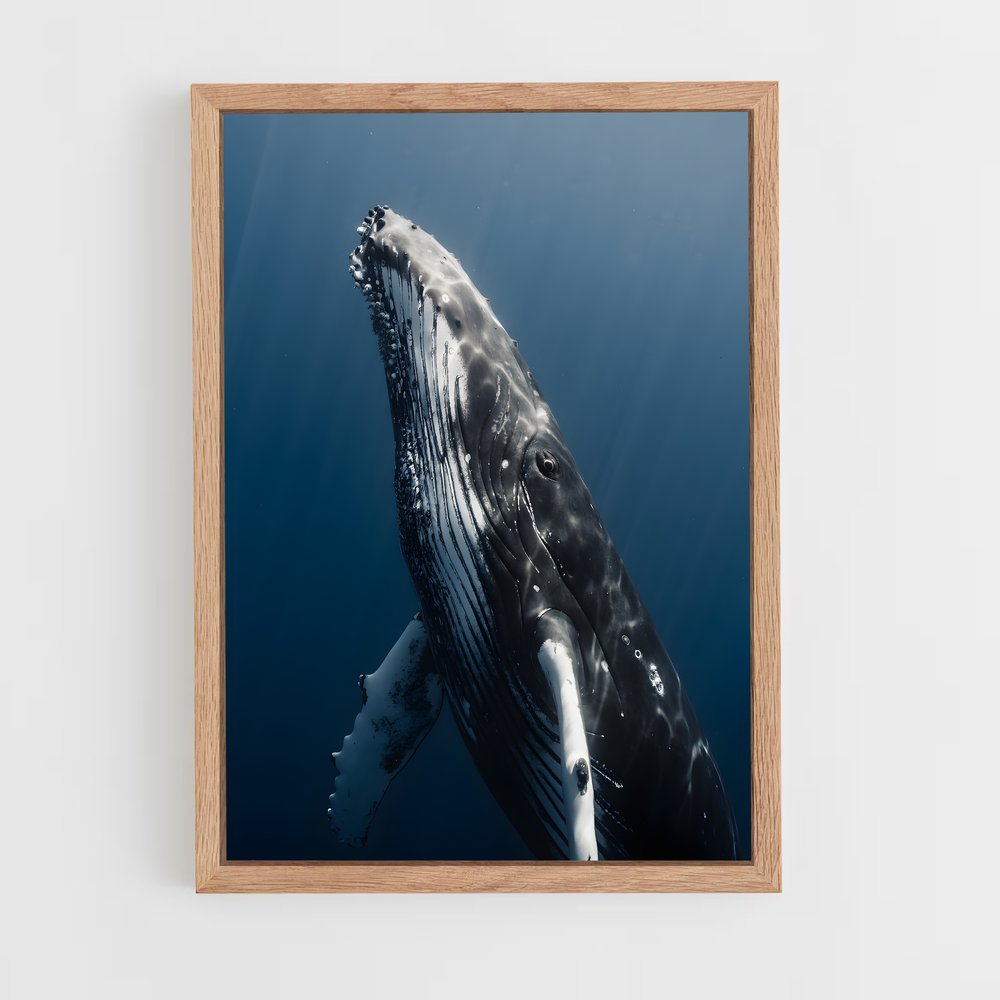 ap-humpback whale-2 cadre Bois clair