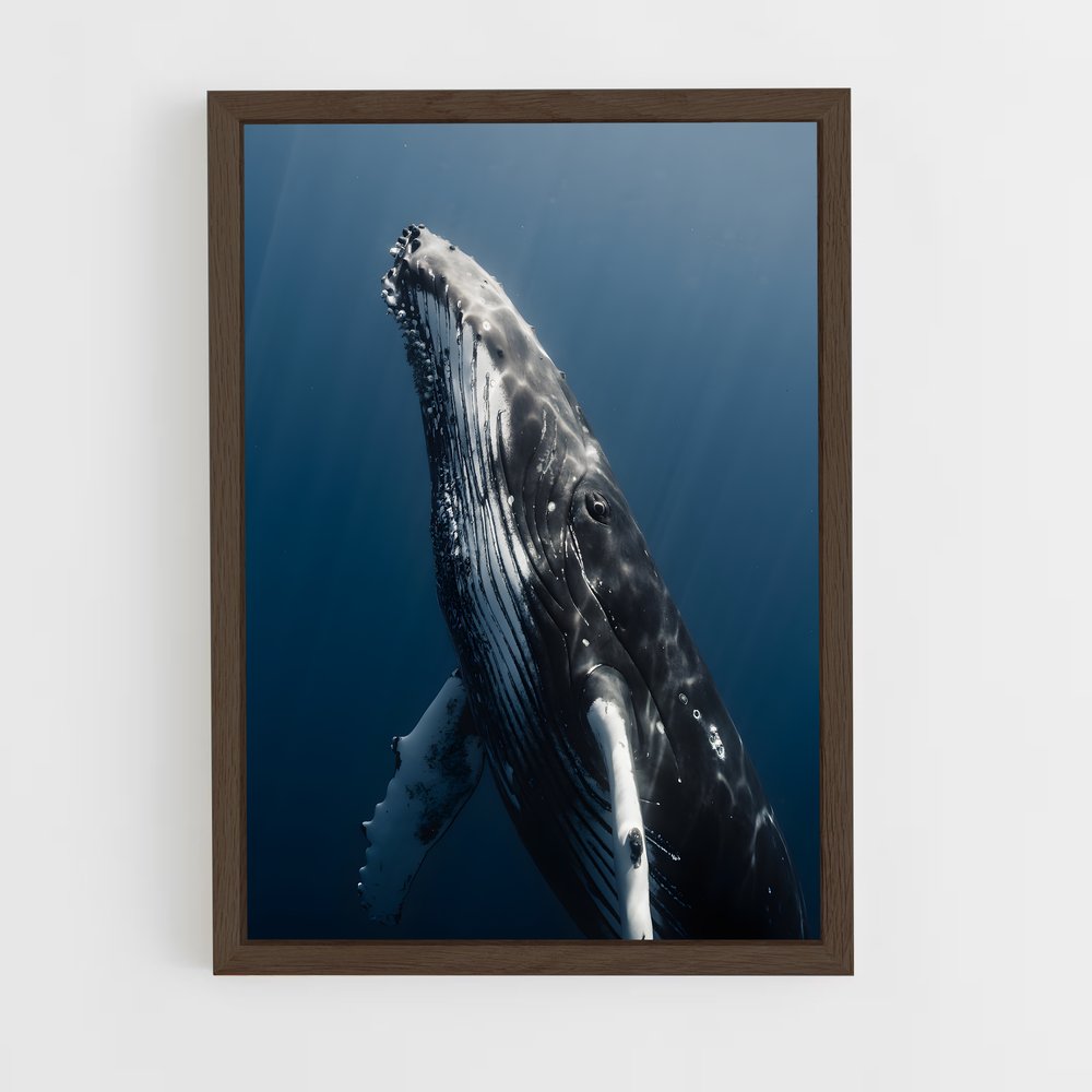 ap-humpback whale-2 cadre Bois foncé