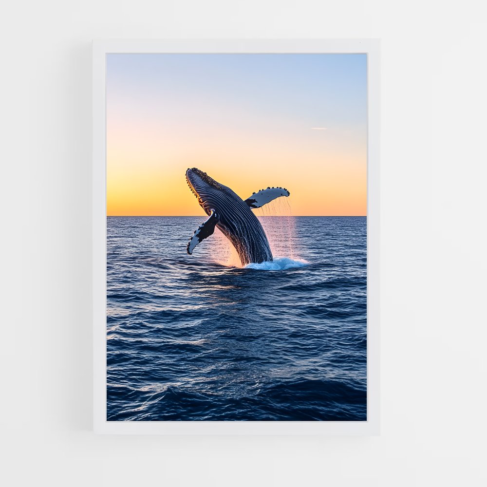 ap-humpback whale-3 cadre Blanc