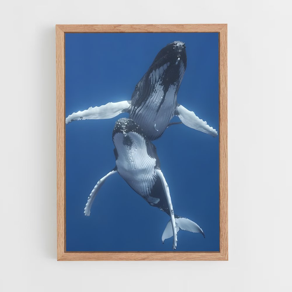 ap-humpback whale-4 cadre Bois clair