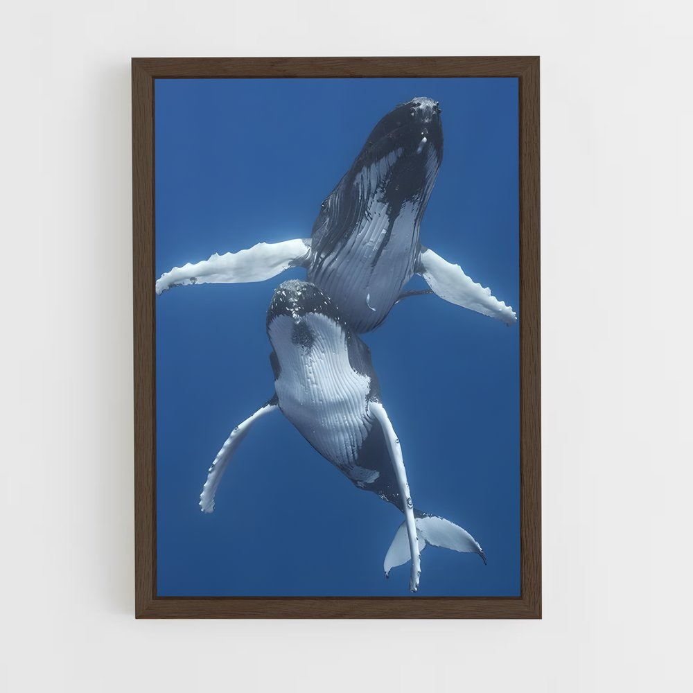ap-humpback whale-4 cadre Bois foncé