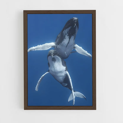 ap-humpback whale-4 cadre Bois foncé