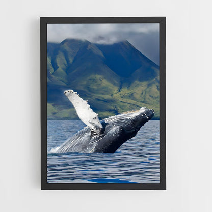 ap-humpback whale-6 cadre Noir