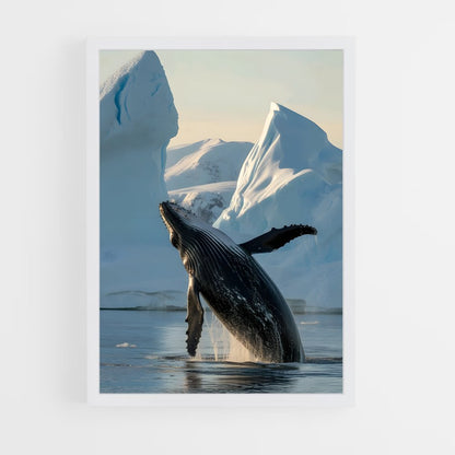 ap-humpback whale-8 cadre Blanc