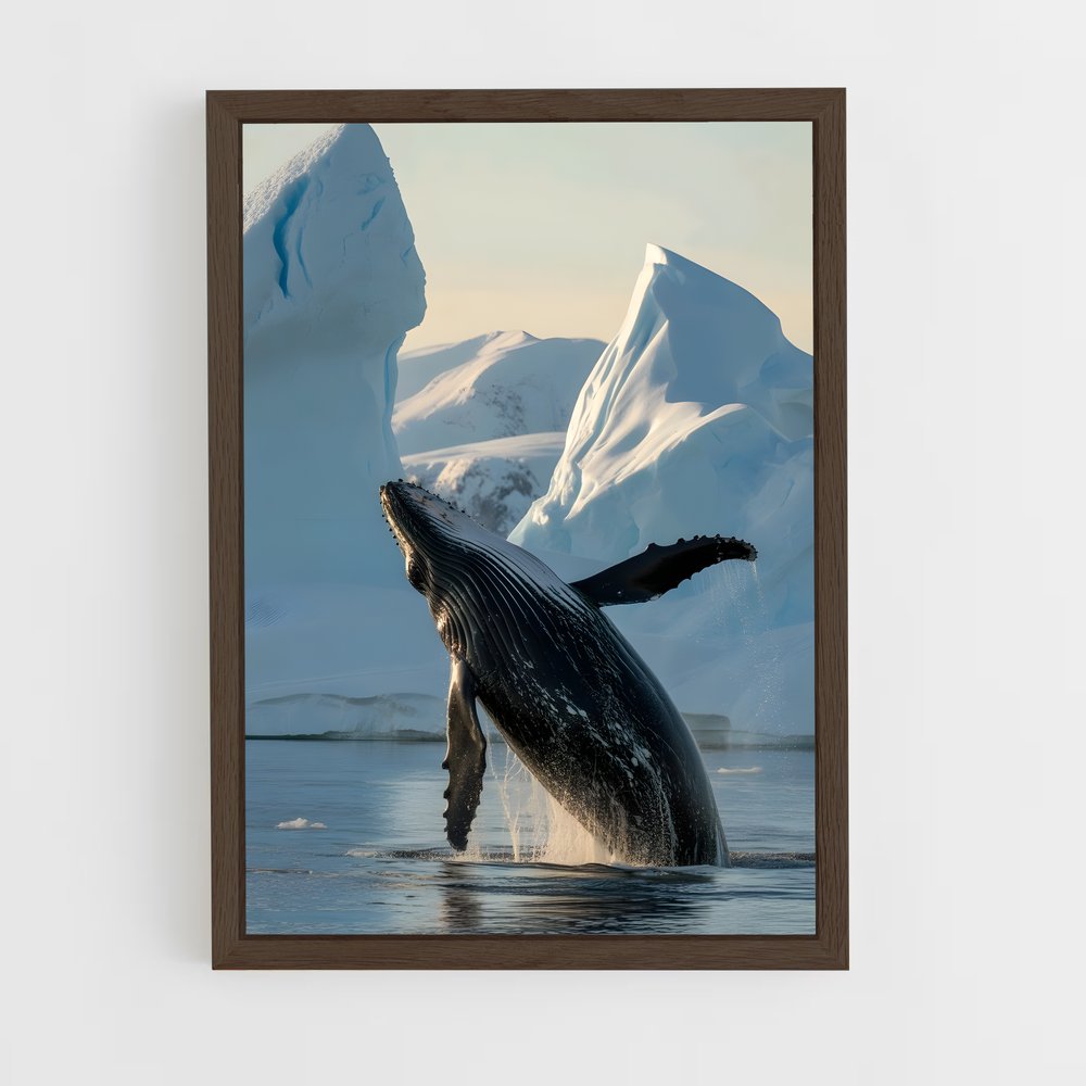 ap-humpback whale-8 cadre Bois foncé