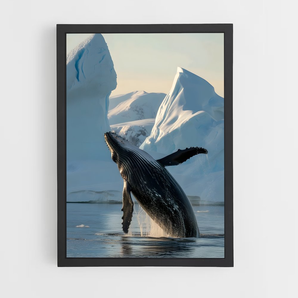 ap-humpback whale-8 cadre Noir