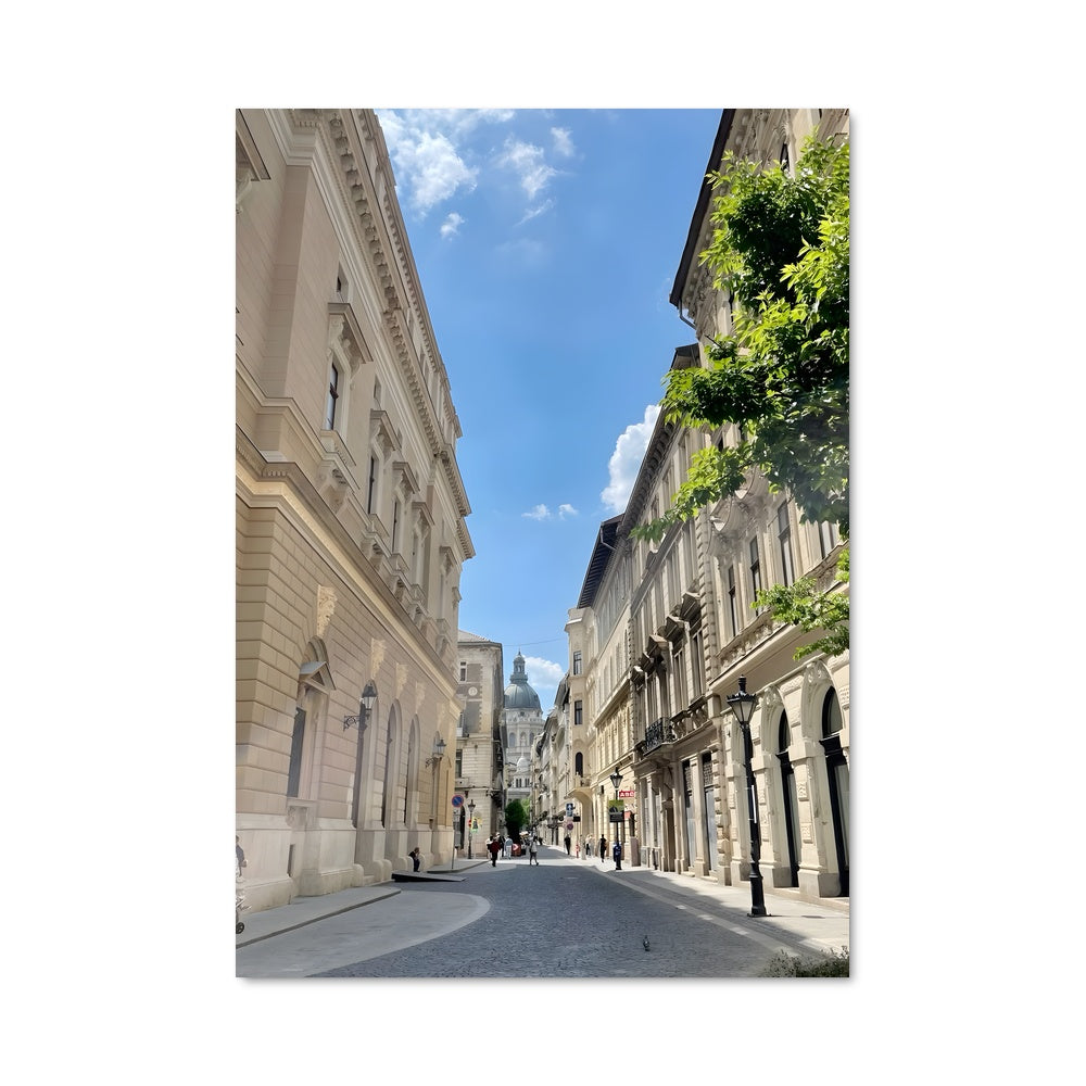 Poster Rue Pavée de Salzbourg