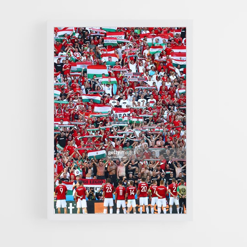 ap-hungary national football team-1 cadre Blanc