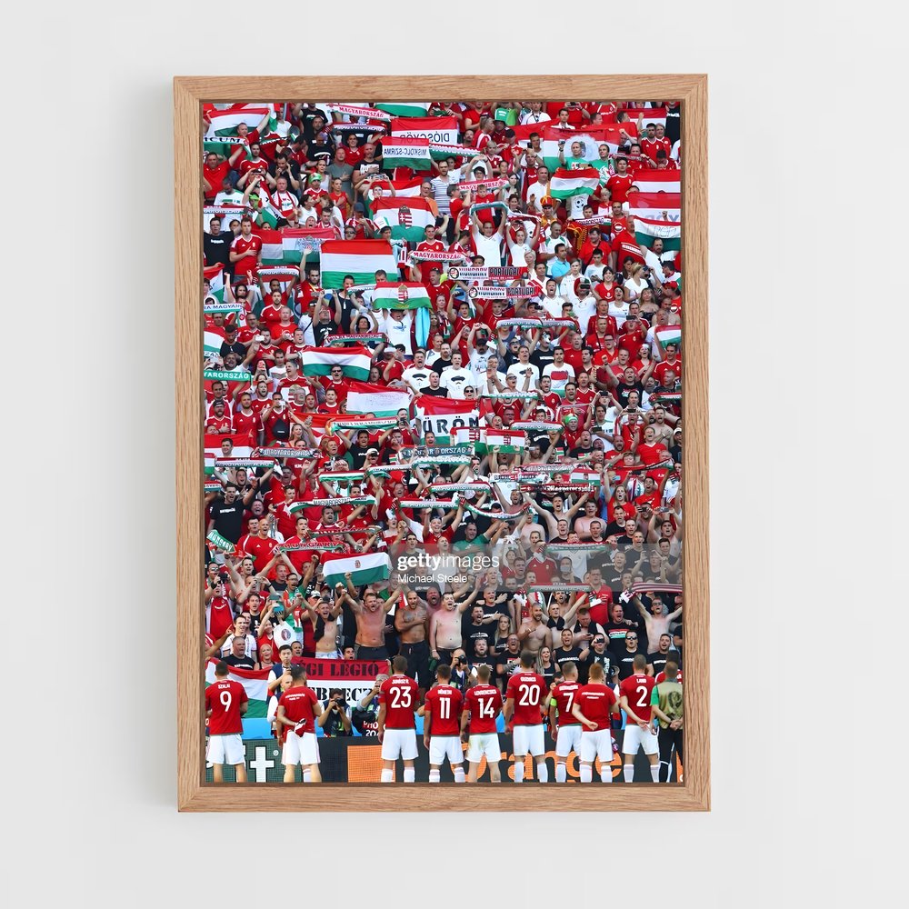ap-hungary national football team-1 cadre Bois clair