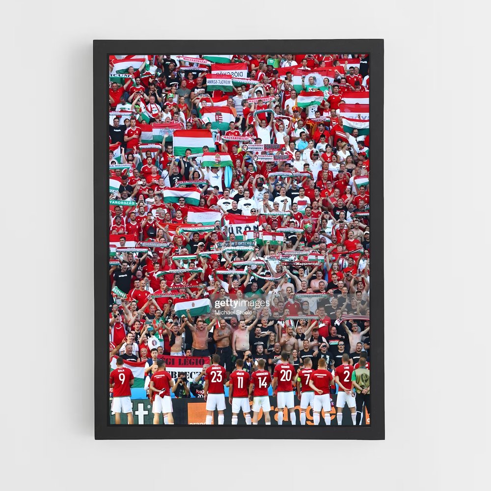 ap-hungary national football team-1 cadre Noir