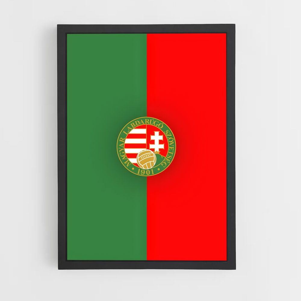 ap-hungary national football team-4 cadre Noir