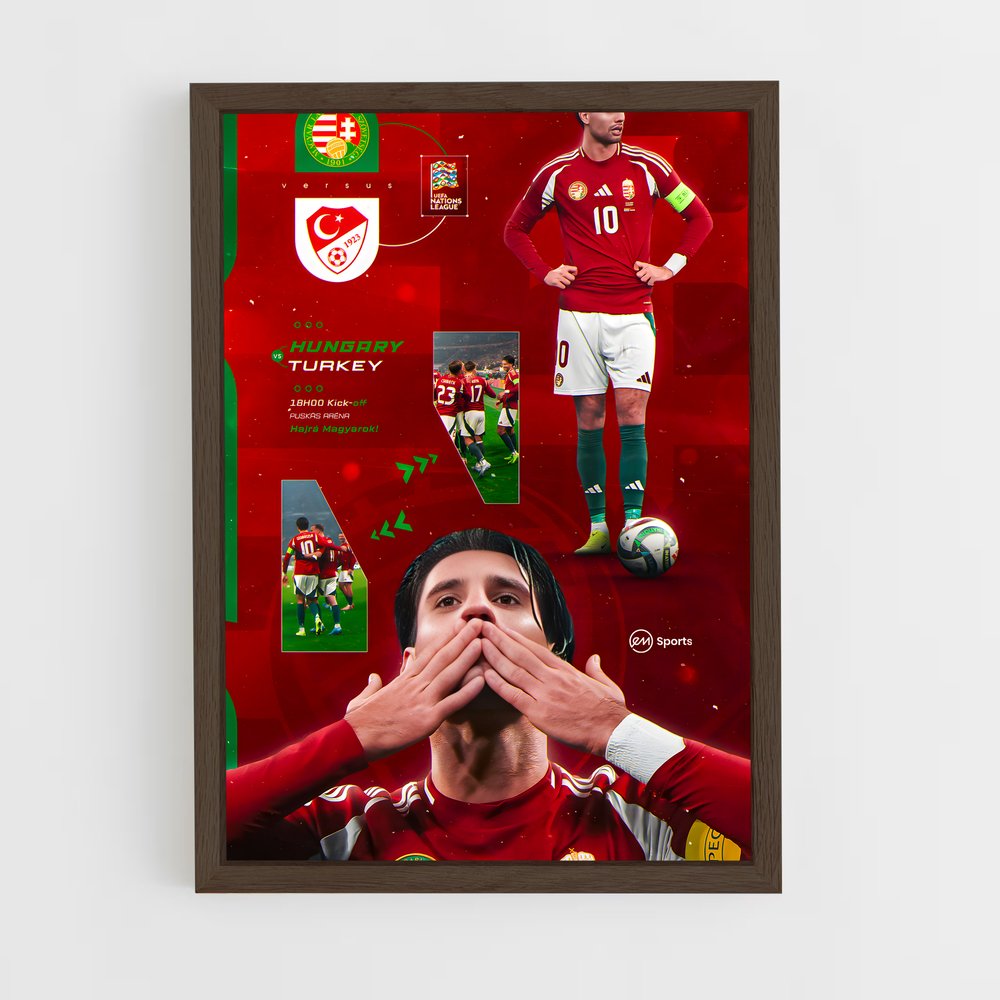ap-hungary national football team-7 cadre Bois foncé