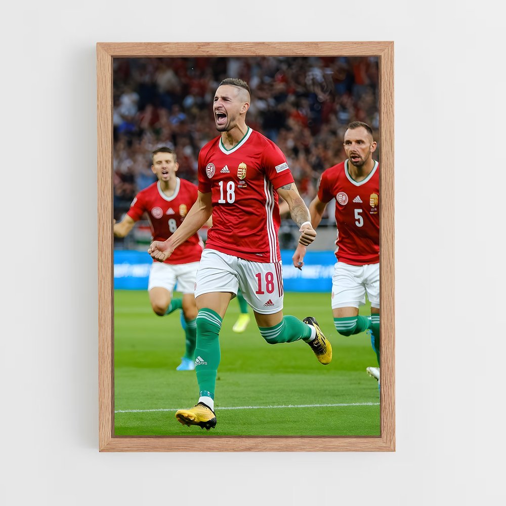 ap-hungary national football team-8 cadre Bois clair