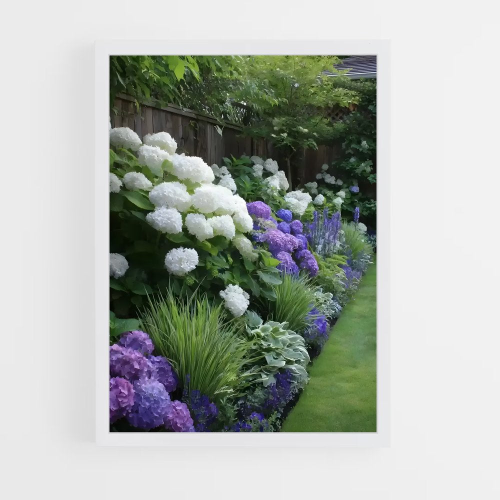 ap-hydrangea-10 cadre Blanc