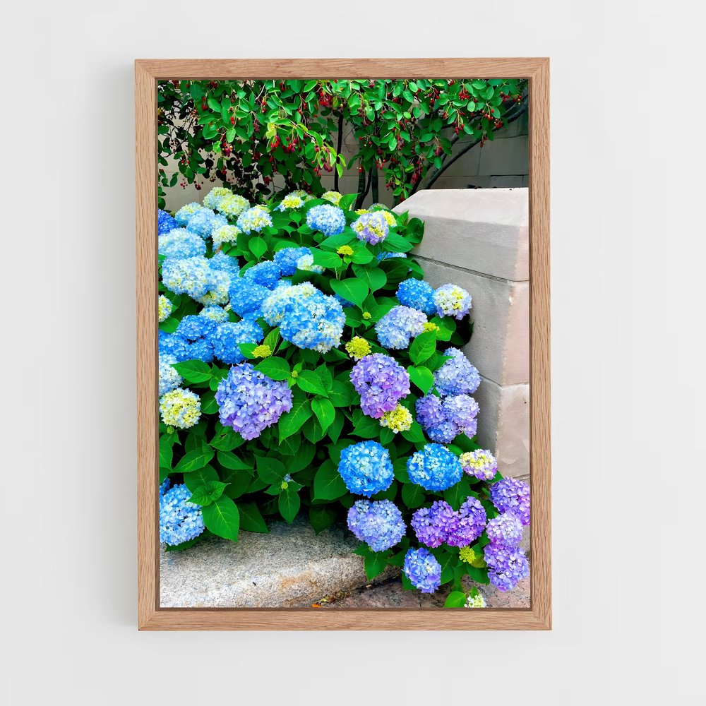 ap-hydrangea-12 cadre Bois clair