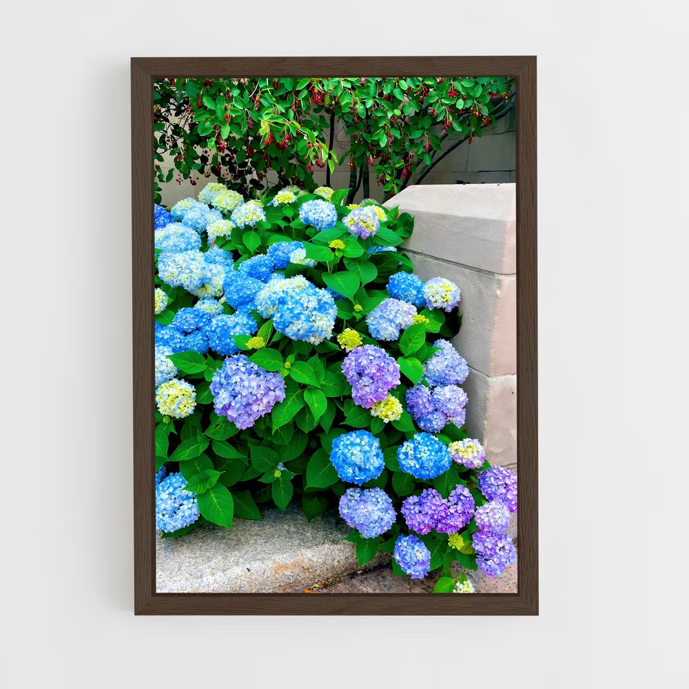 ap-hydrangea-12 cadre Bois foncé