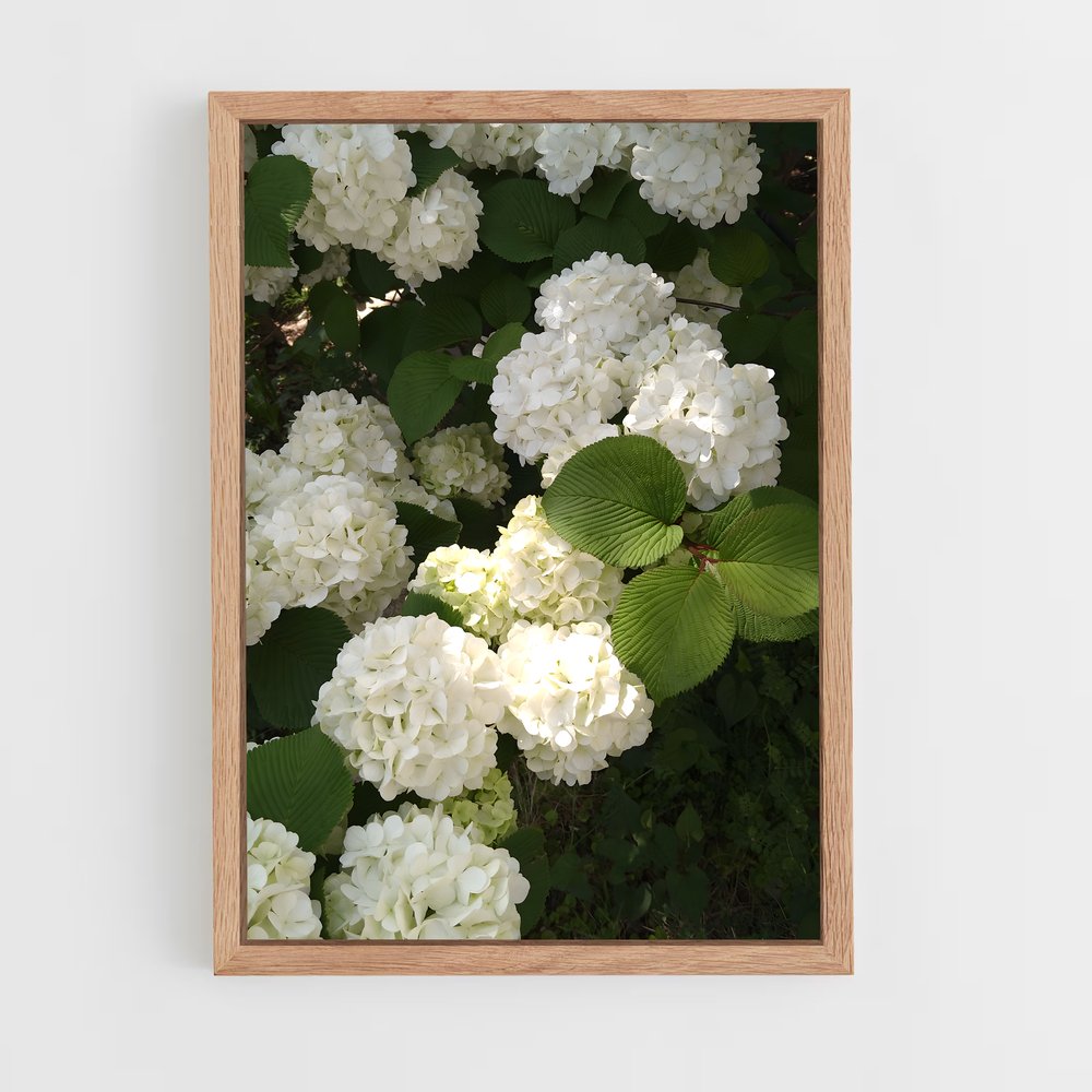 ap-hydrangea-13 cadre Bois clair