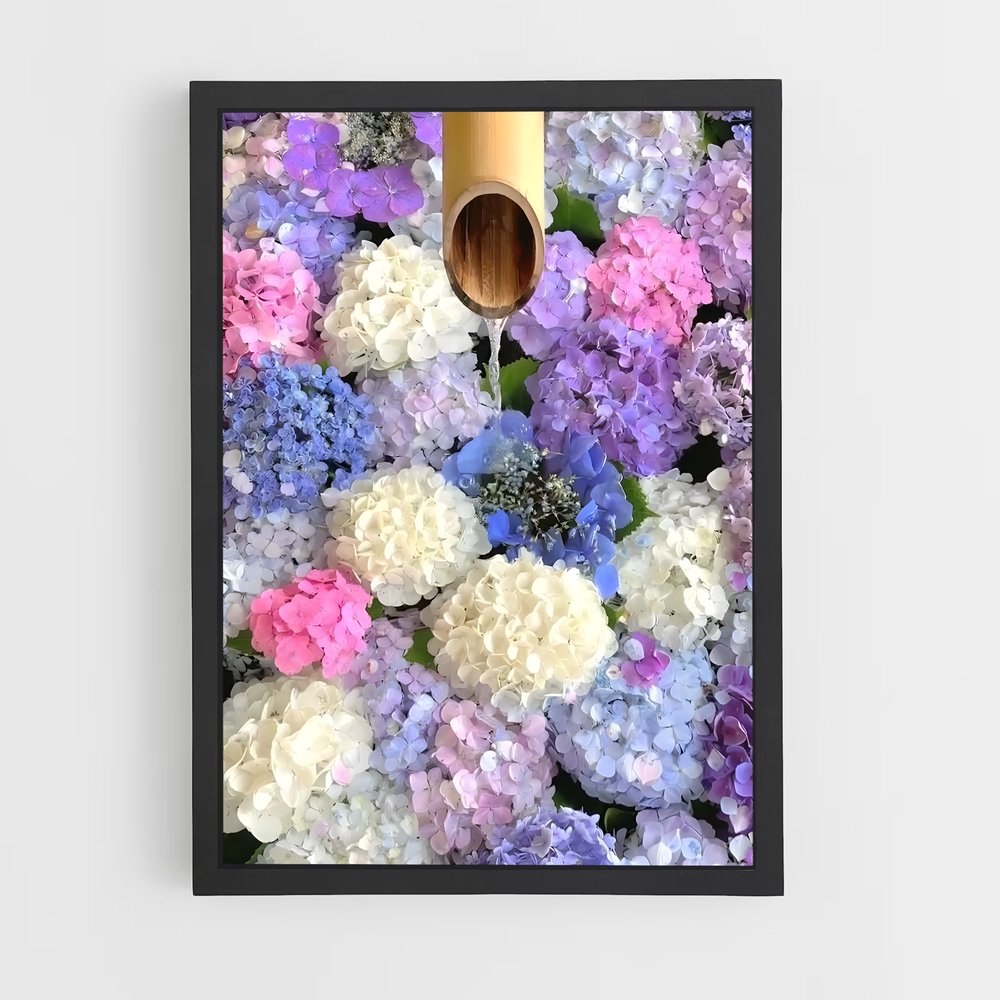 ap-hydrangea-8 cadre Noir