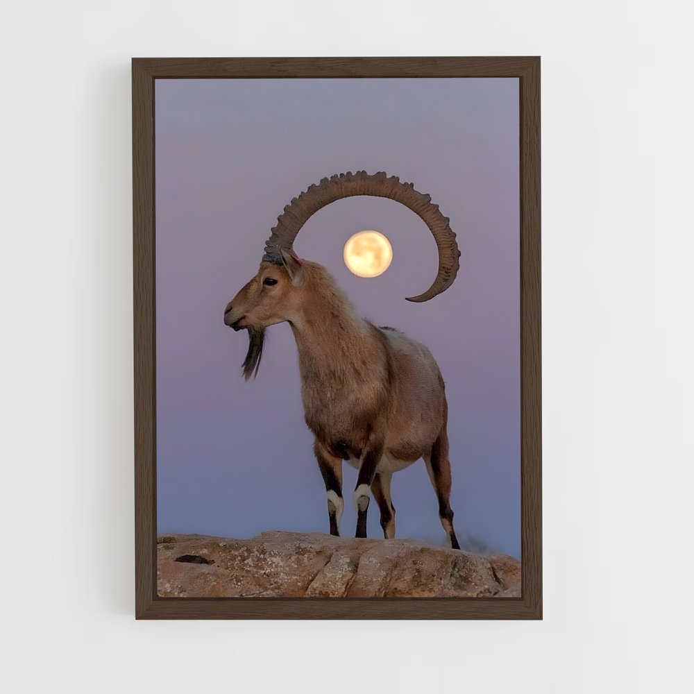 ap-ibex-1 cadre Bois foncé