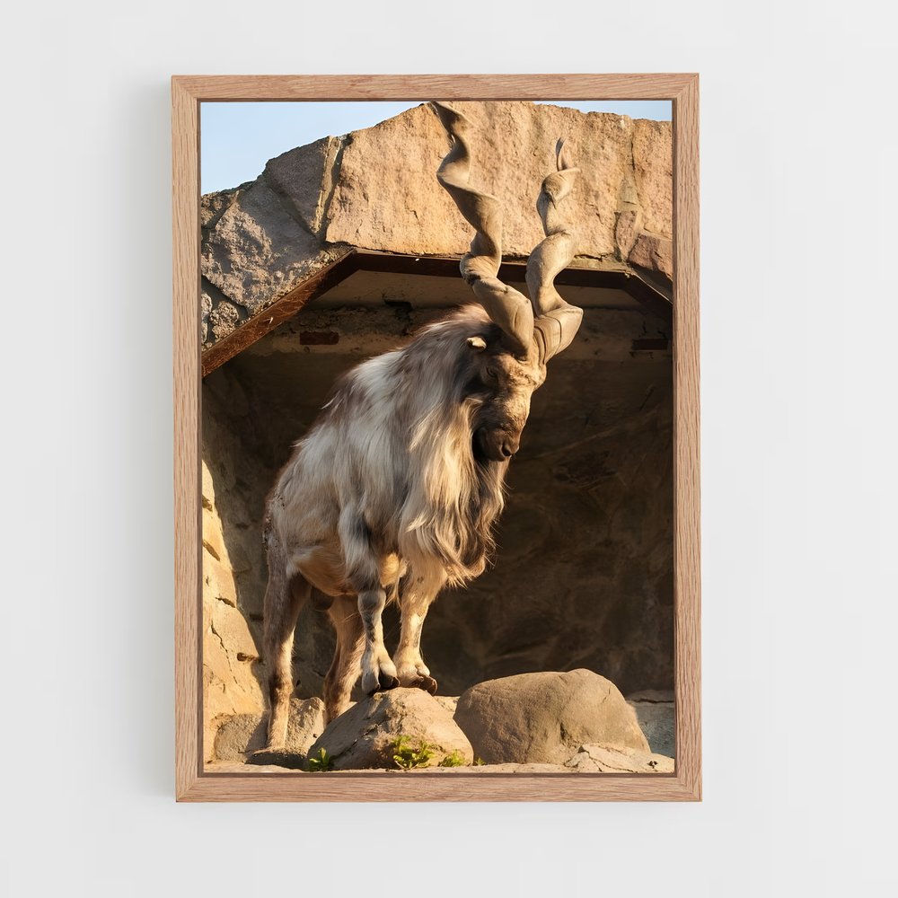 ap-ibex-7 cadre Bois clair