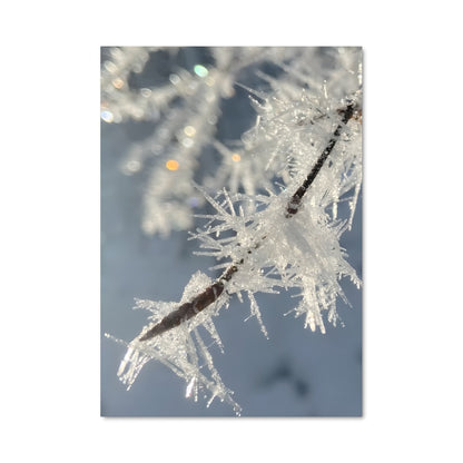 Poster Cristaux Glacés