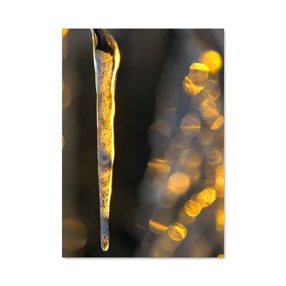 Poster Glace Enchantée
