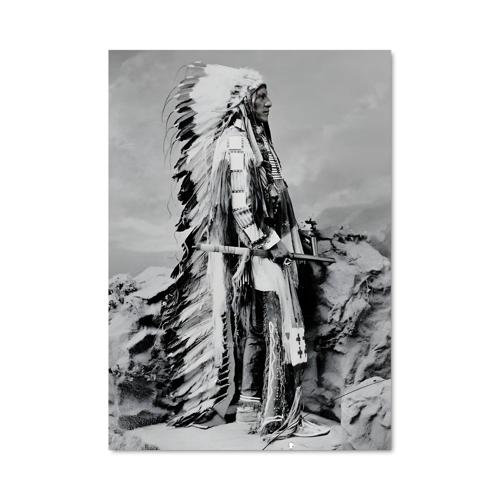 Poster Indian chief 3609