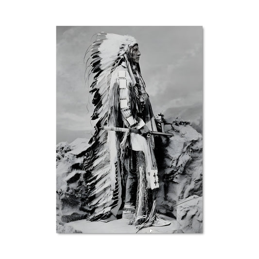 Poster Indian chief 3609