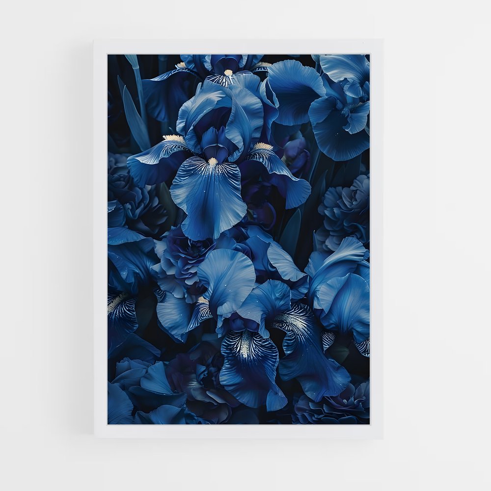 ap-iris-8 cadre Blanc
