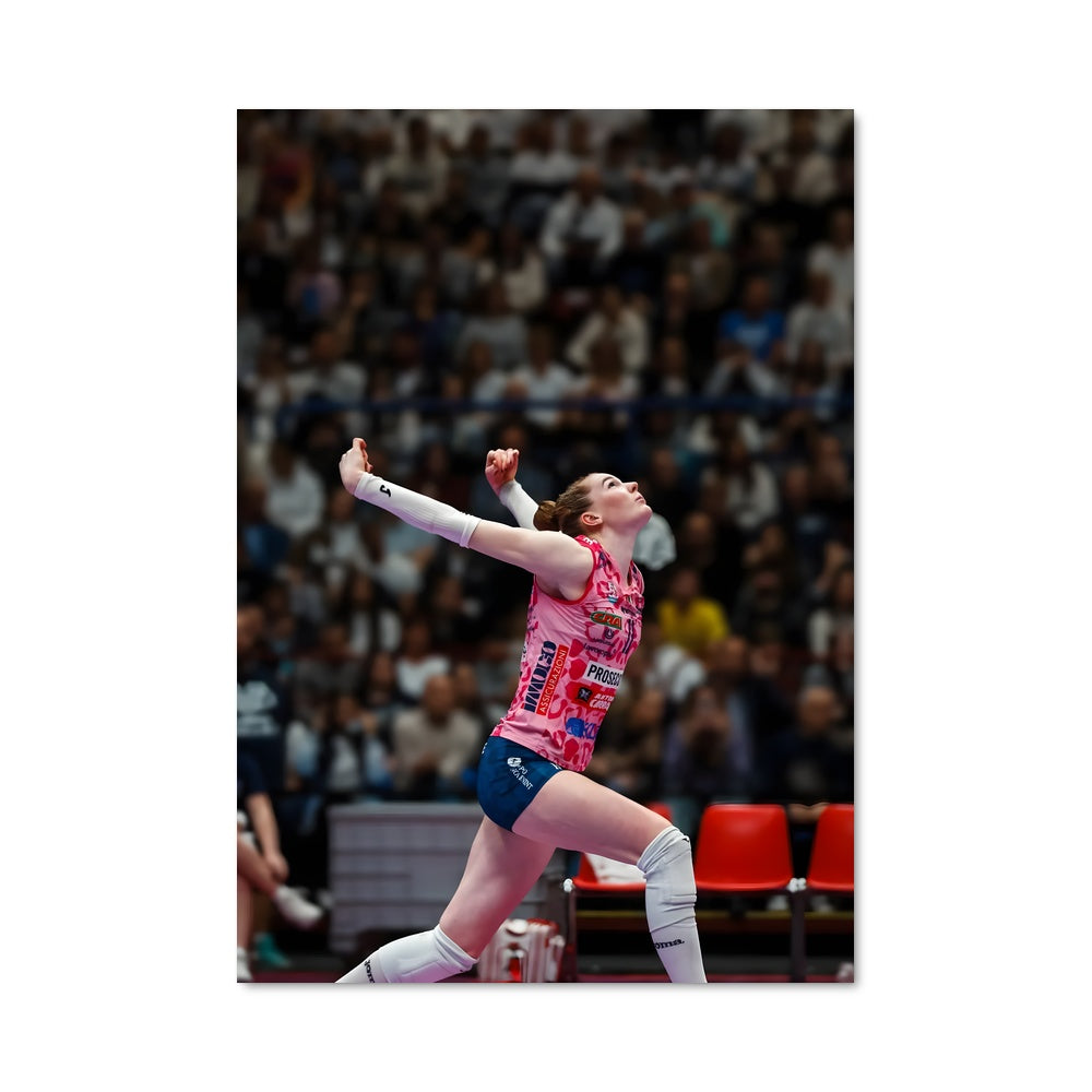 Poster Isabelle haak 74942