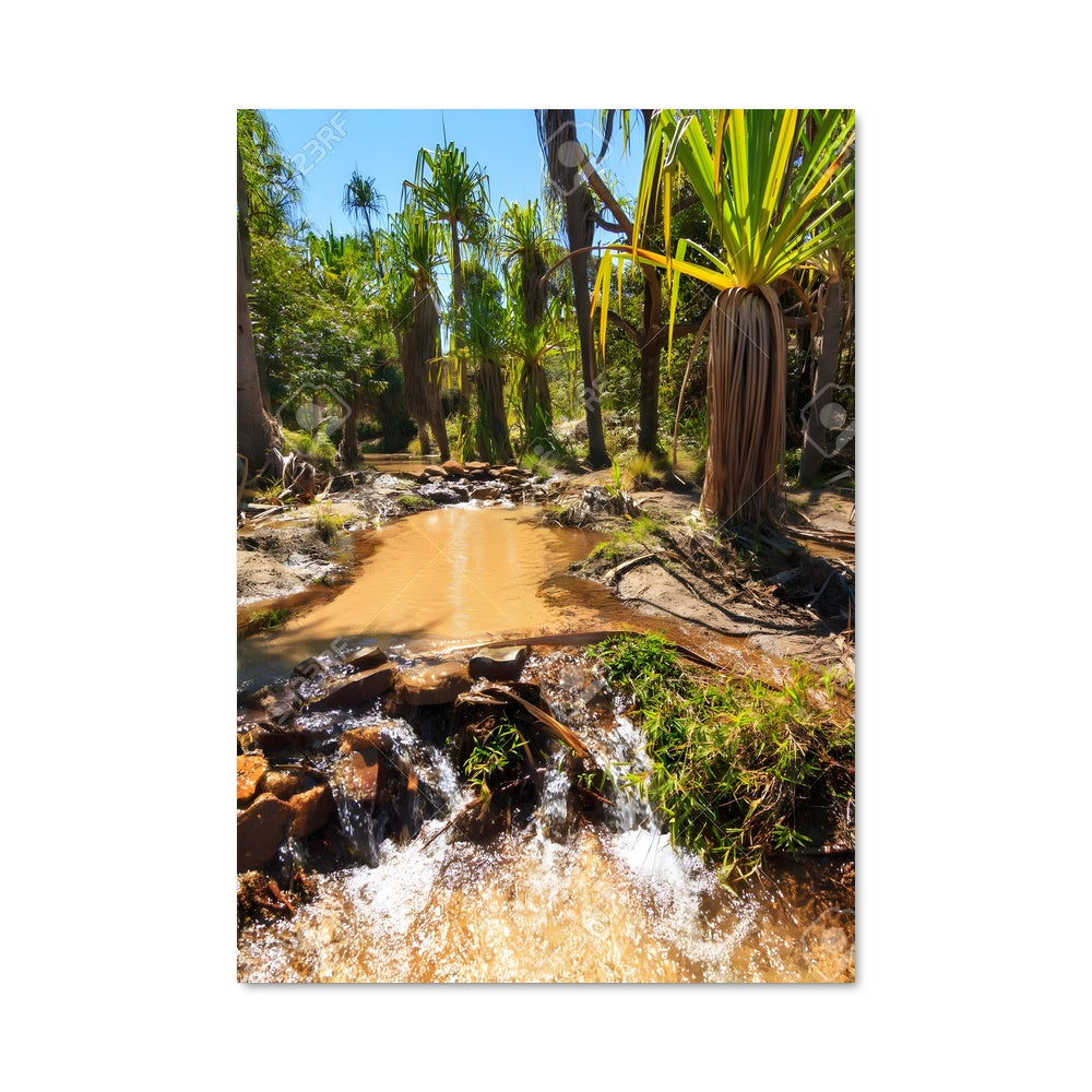 Poster Ruisseau Tropical