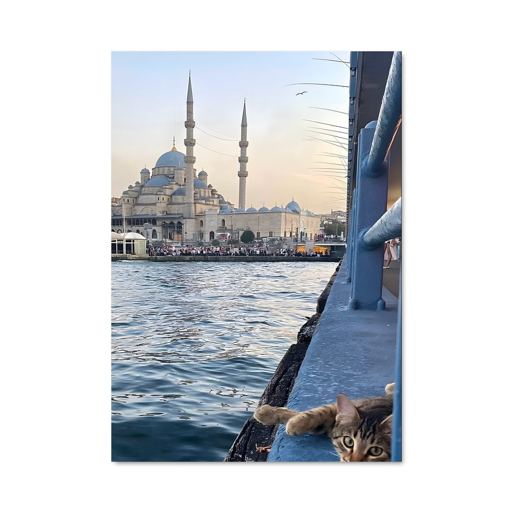 Poster Chat à Istanbul
