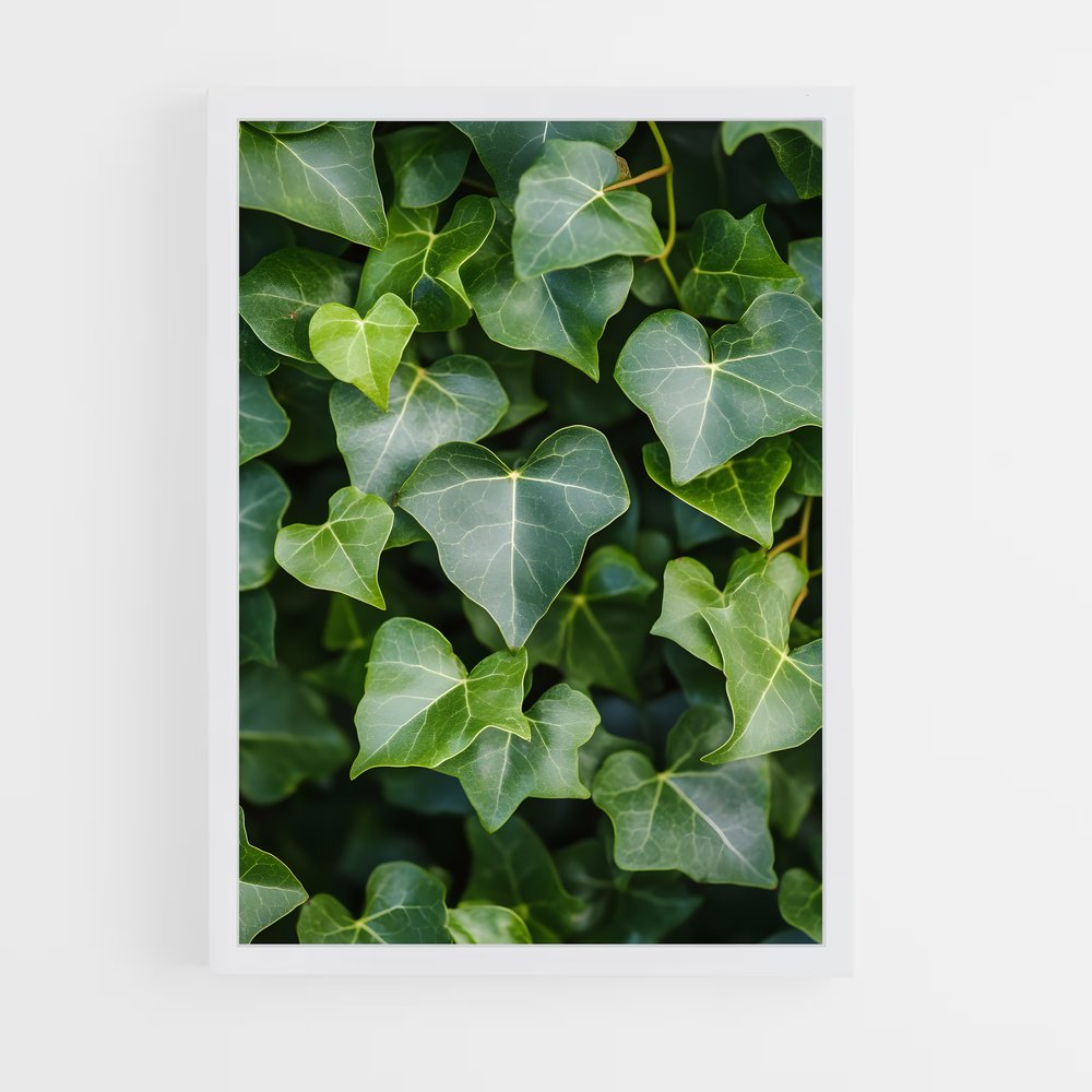 ap-ivy-2 cadre Blanc