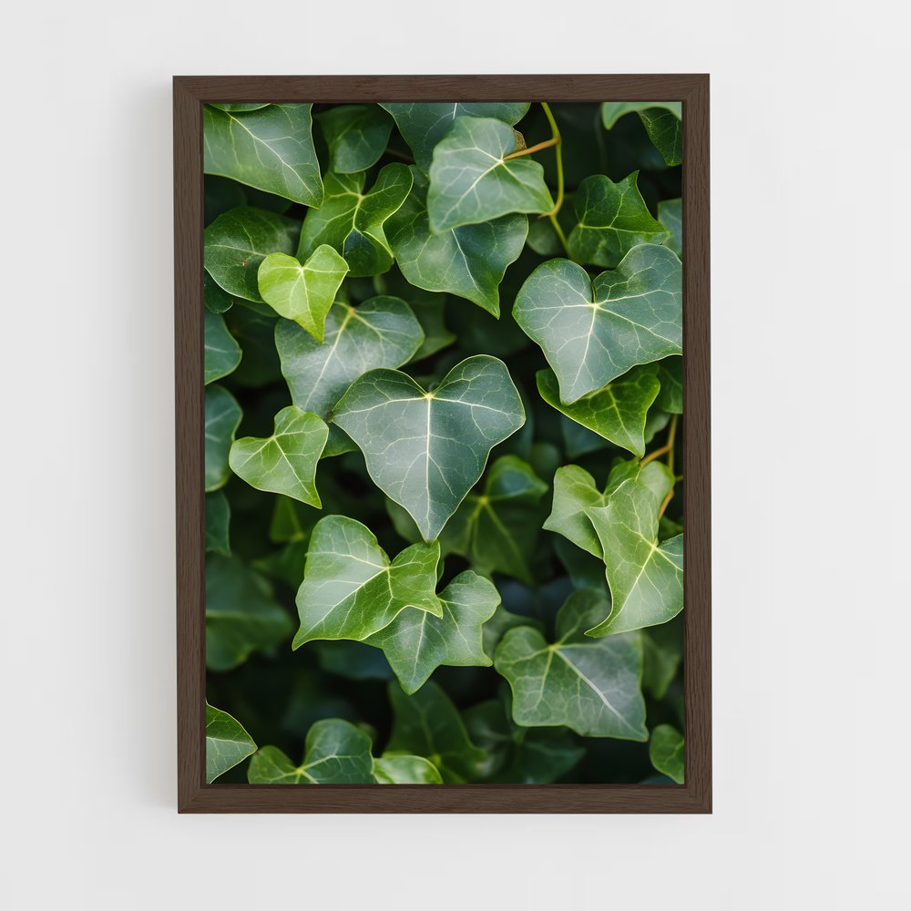 ap-ivy-2 cadre Bois foncé