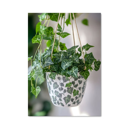 Poster Ivy Hangout