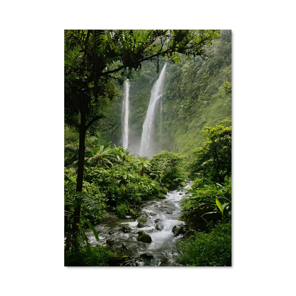 Poster Iwokrama forest 93953