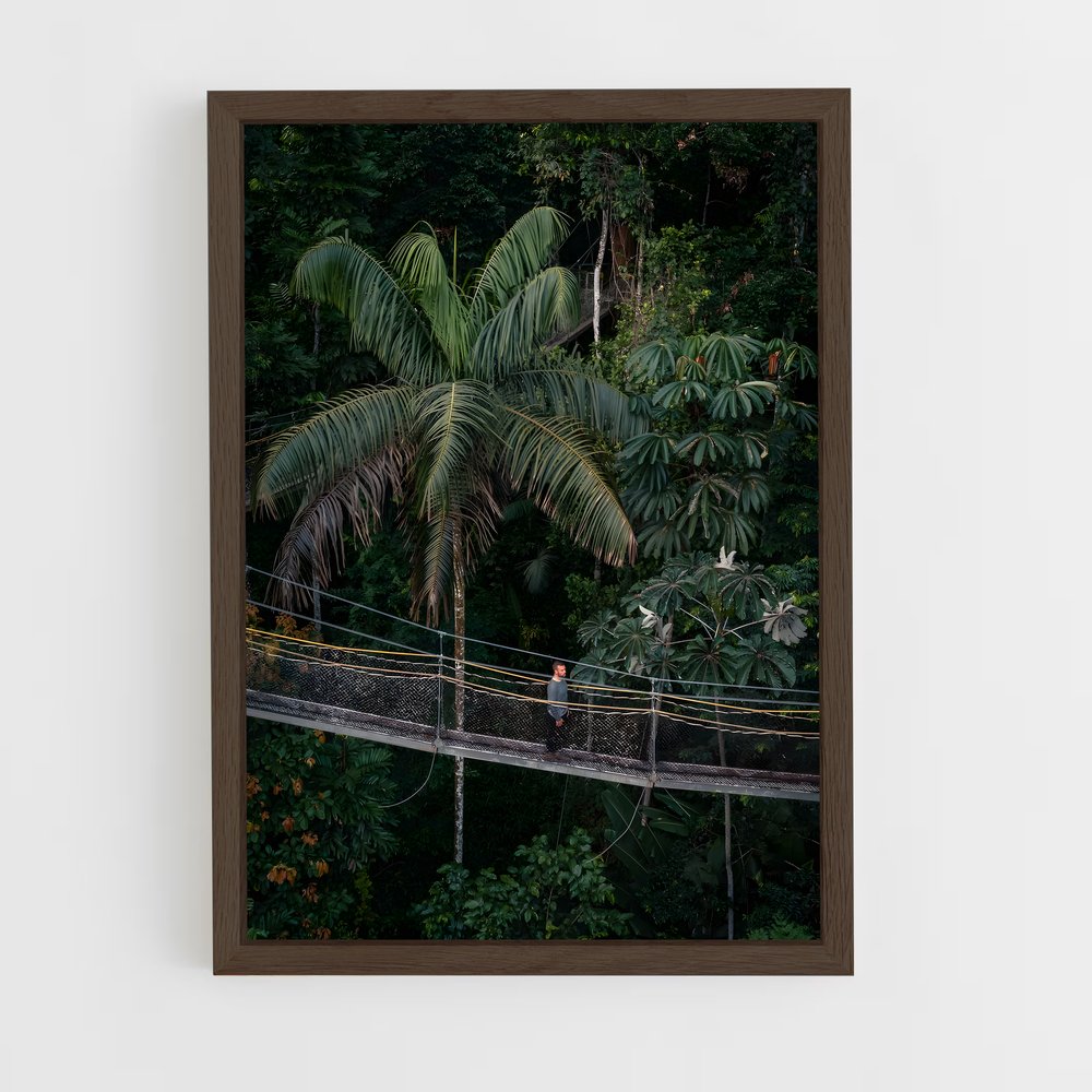 ap-iwokrama forest-4 cadre Bois foncé