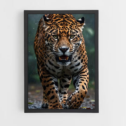 ap-jaguar-3 cadre Noir