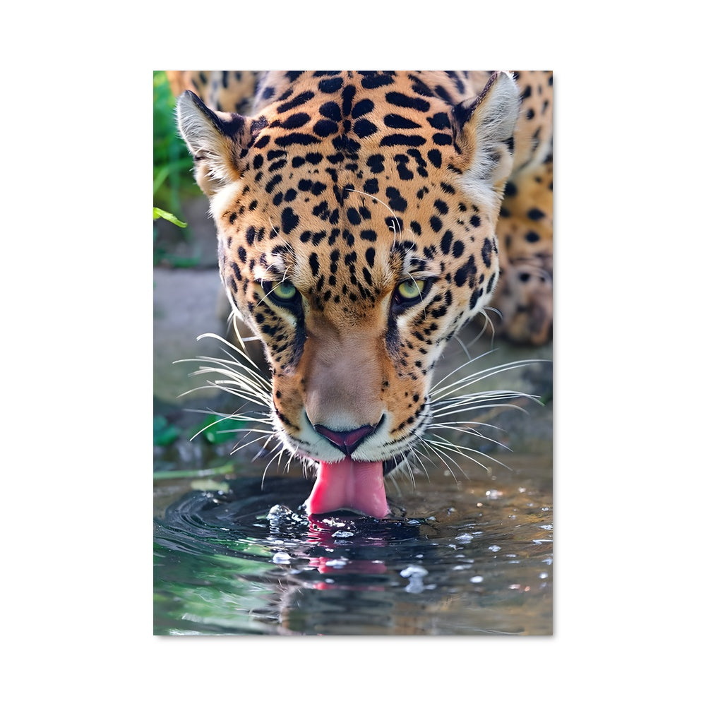 Poster Jaguar au Ruisseau