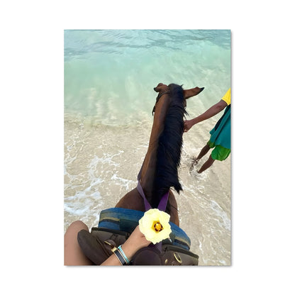 Poster Jamaica 92936
