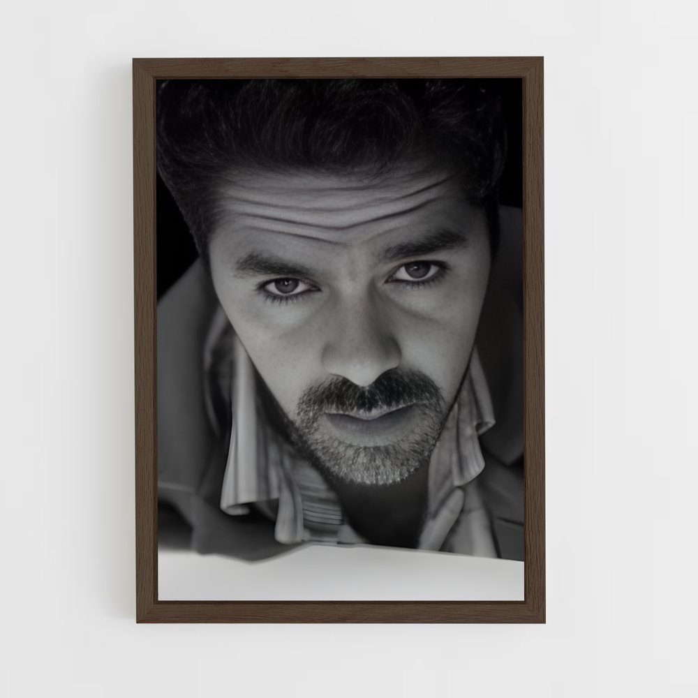 ap-jamel debbouze-4 cadre Bois foncé