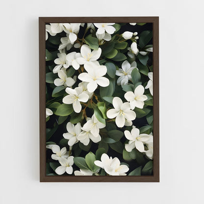 ap-jasmine-1 cadre Bois foncé