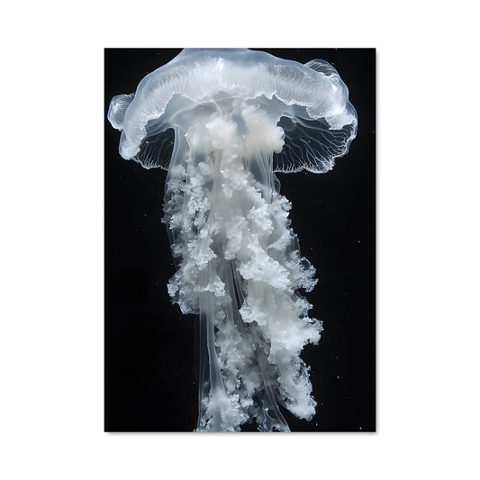 Poster Méduse Lumineuse